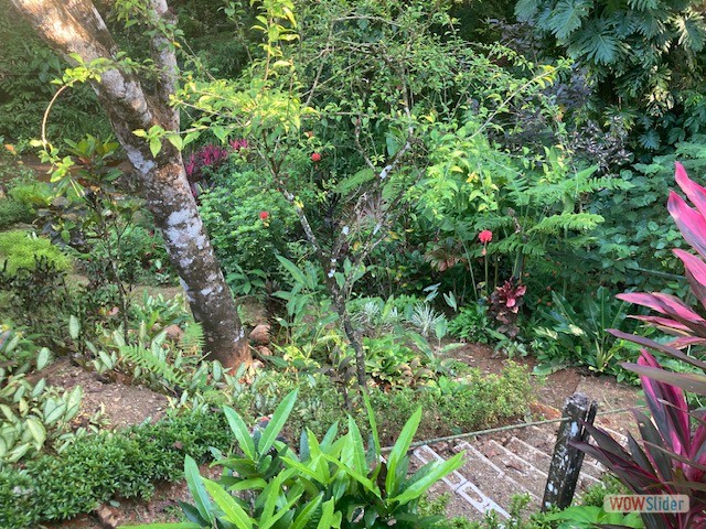 maison_ch_ojochal_costa_rica_18