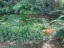maison_ch_ojochal_costa_rica_17