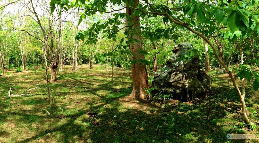 finca_13has_samara_costa_rica_10