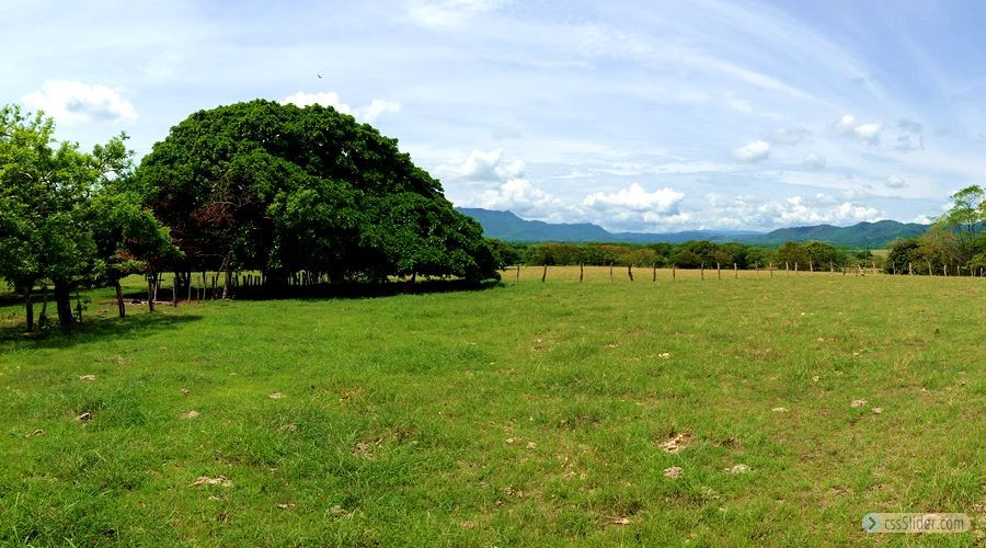finca_13has_samara_costa_rica_11