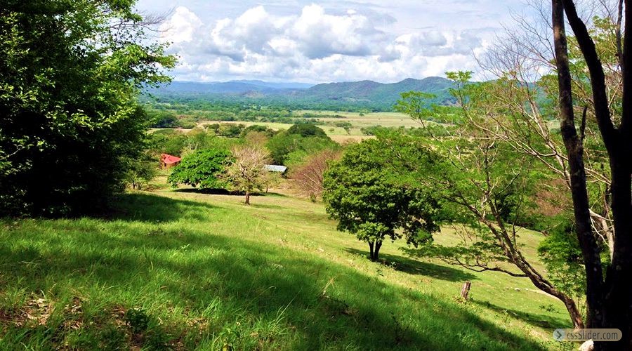 finca_13has_samara_costa_rica_8