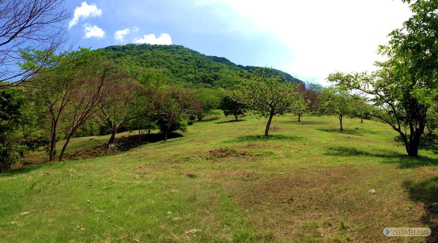 finca_13has_samara_costa_rica_9