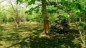 finca_13has_samara_costa_rica_10