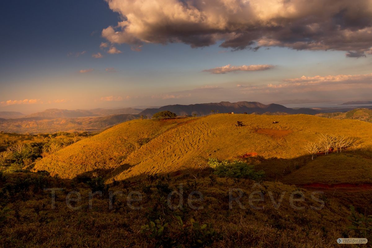 finca_19has_hojancha_costa_rica_2