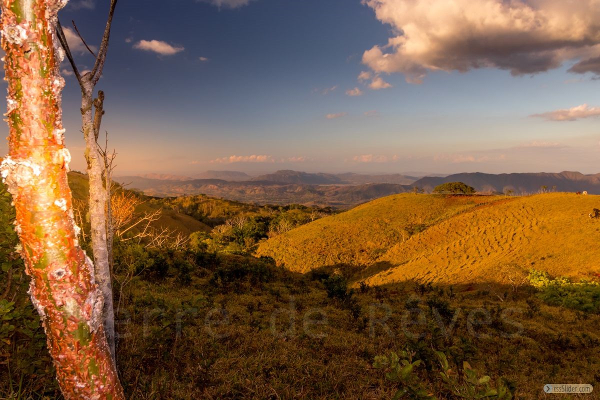 finca_19has_hojancha_costa_rica_3