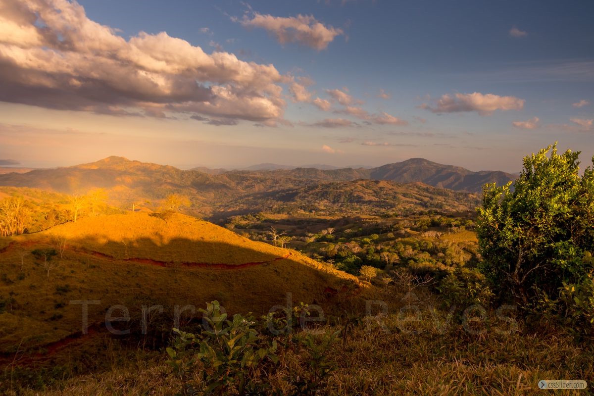 finca_19has_hojancha_costa_rica_4