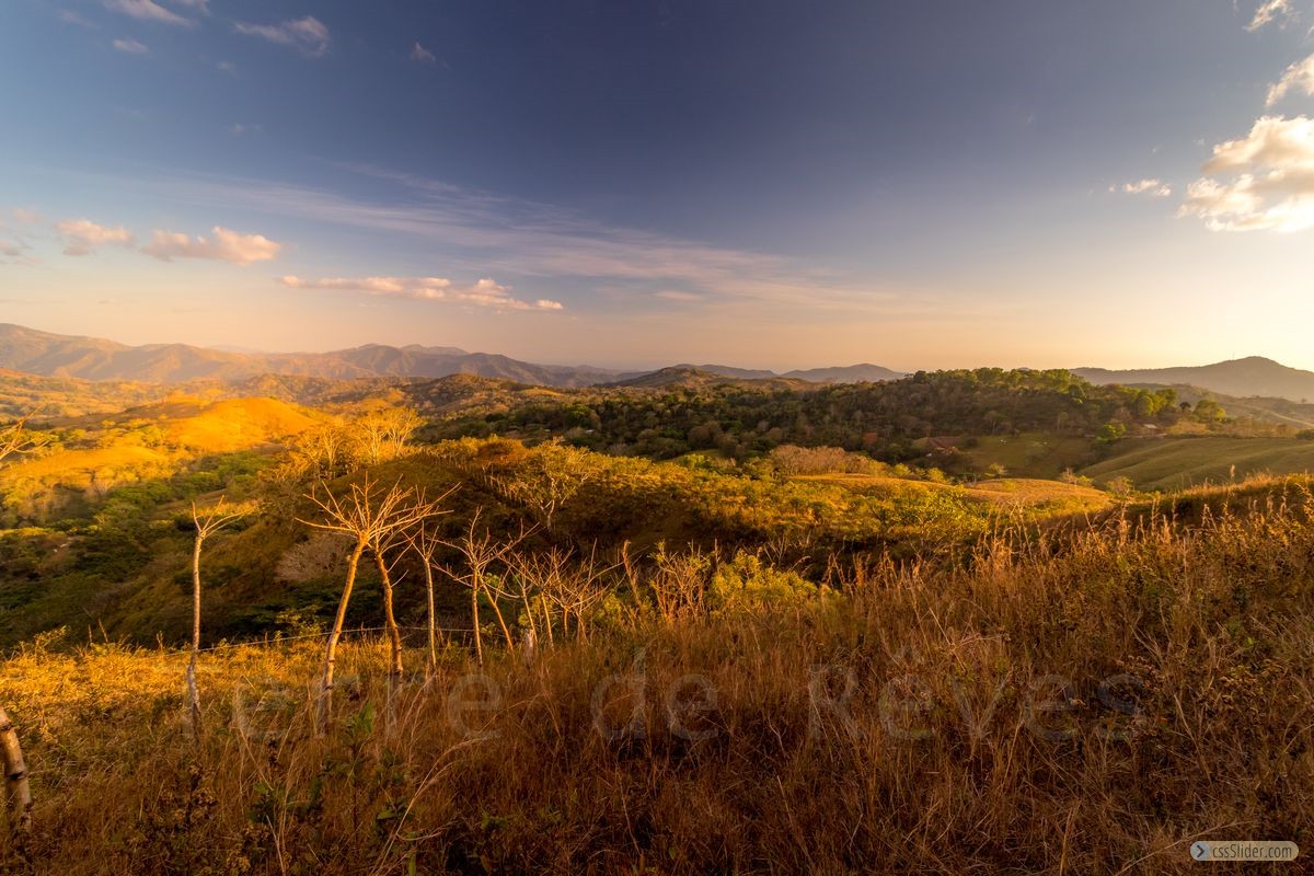 finca_19has_hojancha_costa_rica_5
