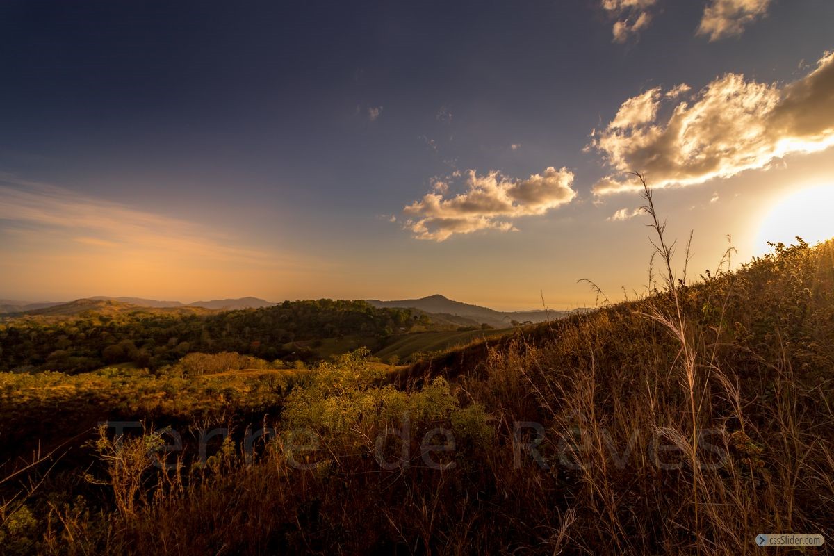 finca_19has_hojancha_costa_rica_6