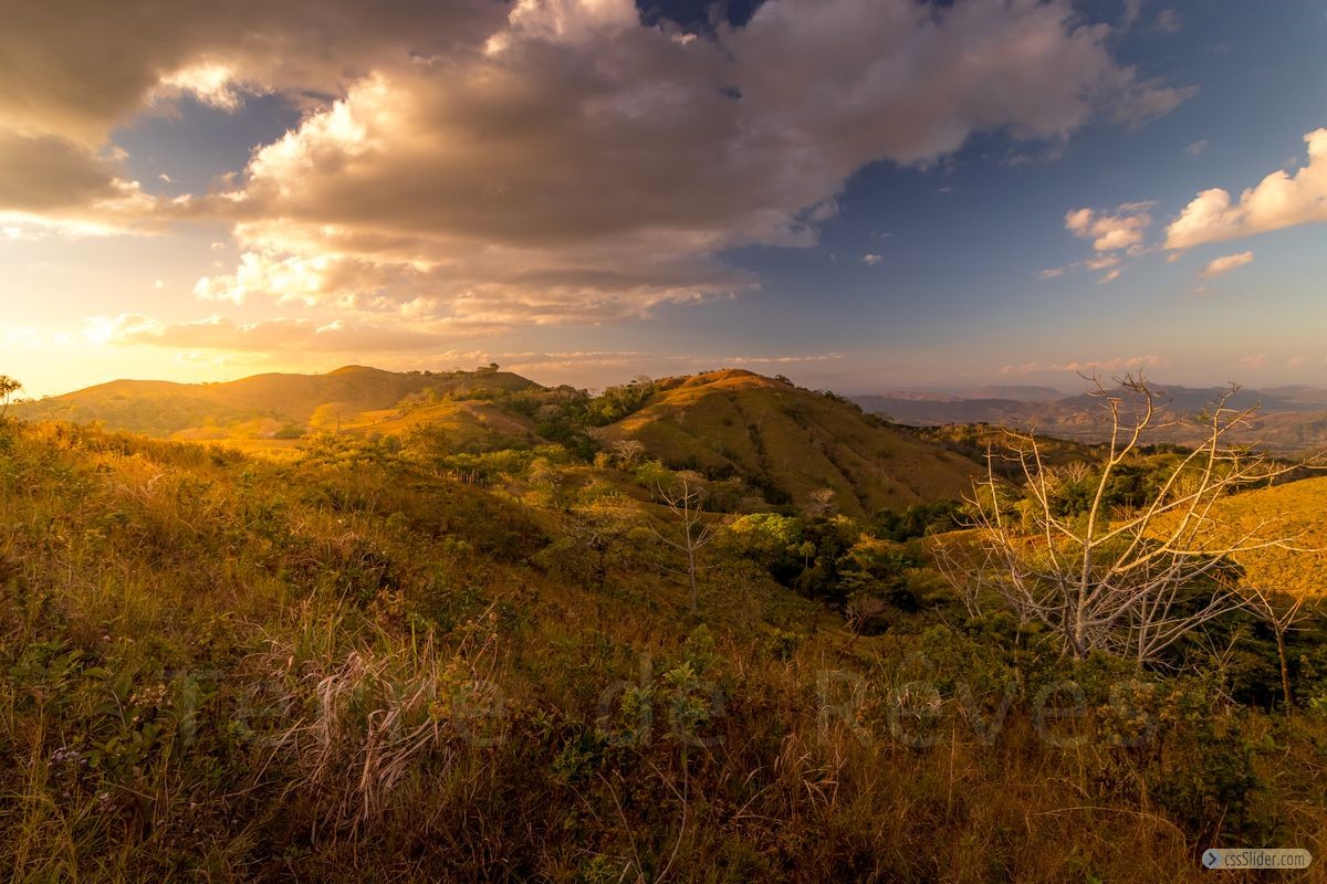 finca_19has_hojancha_costa_rica_7