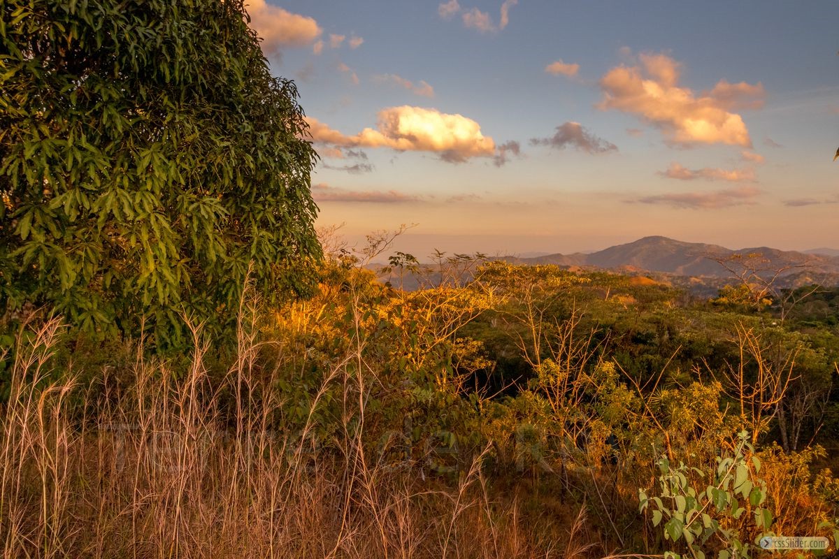 finca_19has_hojancha_costa_rica_9