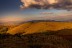 finca_19has_hojancha_costa_rica_2