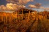 finca_19has_hojancha_costa_rica_8