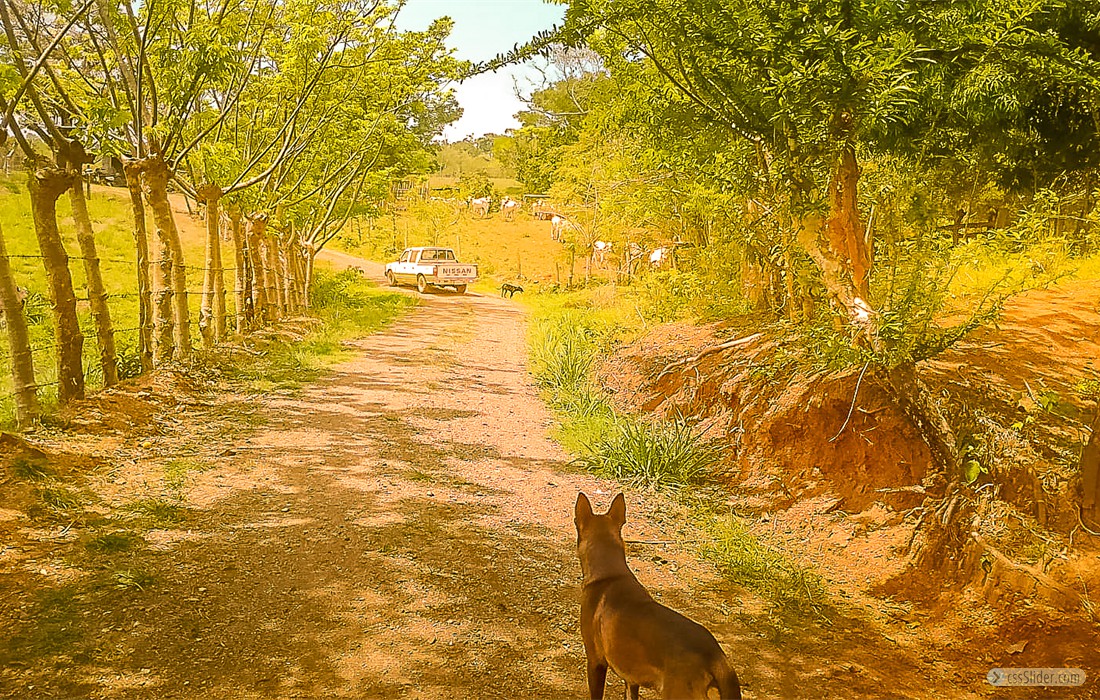 finca_28has_hojancha_costa_rica_9