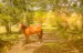 finca_28has_hojancha_costa_rica_1