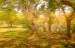 finca_28has_hojancha_costa_rica_2