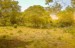 finca_28has_hojancha_costa_rica_3
