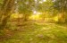 finca_28has_hojancha_costa_rica_4