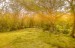 finca_28has_hojancha_costa_rica_5
