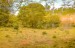 finca_28has_hojancha_costa_rica_6