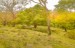 finca_28has_hojancha_costa_rica_7
