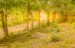 finca_28has_hojancha_costa_rica_8