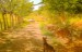 finca_28has_hojancha_costa_rica_9