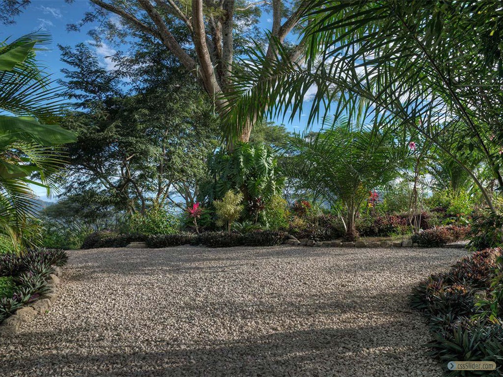 Jardin 1