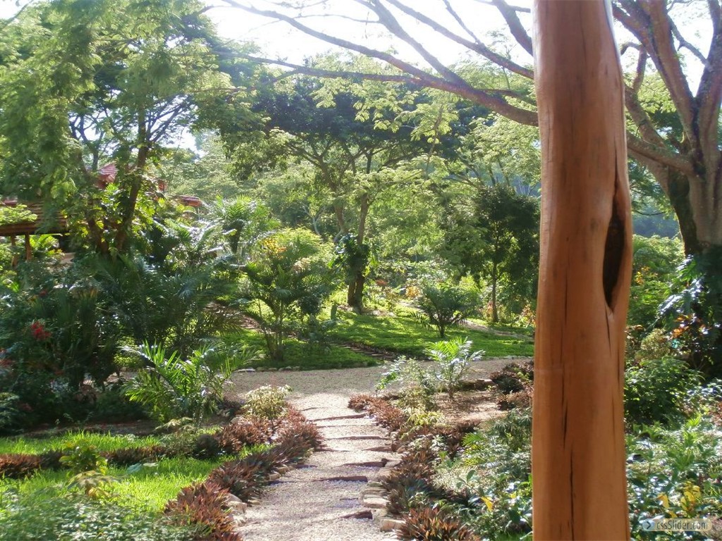 Jardin 2