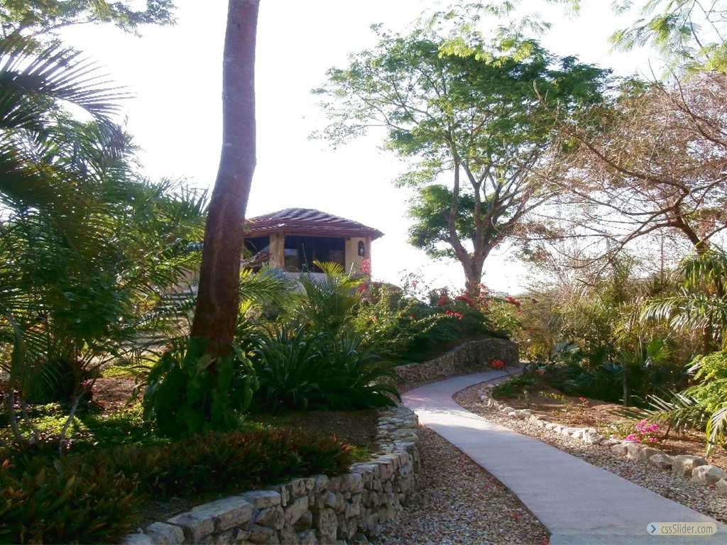 jardin 3
