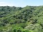Finca 60 hectares