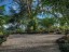 Jardin 1