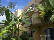 vue de l'appartement de tamarindo costa rica