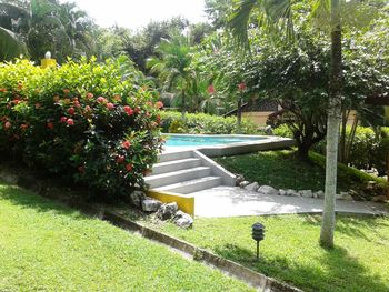 Vue des cabinas de la c�te Pacifique du Costa Rica