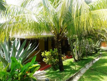 Vue des cabinas de la c�te Pacifique du Costa Rica