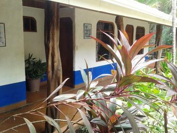 Vue des cabinas de la Golden Coast, Costa Rica