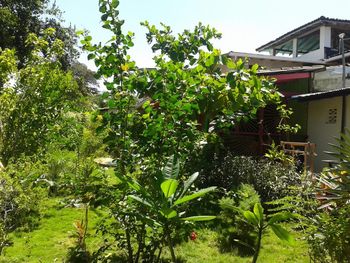 Vue des appartements de Tamarindo, Costa Rica