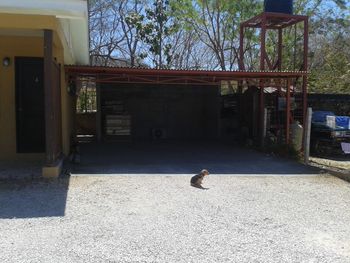 Vue du complexe de chambres de Tamarindo, Costa Rica