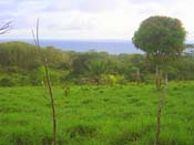 vue de la finca