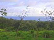 vue de la finca