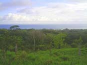 vue de la finca
