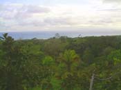 vue de la finca