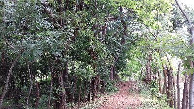 Vue de la finca de Samara, Costa Rica