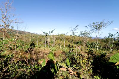 Vue de la finca de Hojancha, Costa Rica