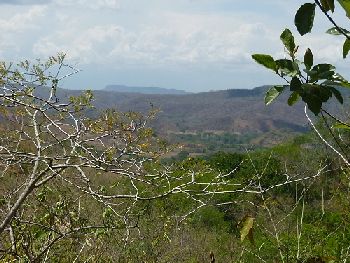 Vue de la finca de Hojancha, Costa Rica