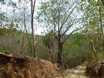 Vue de la finca de Hojancha, Costa Rica