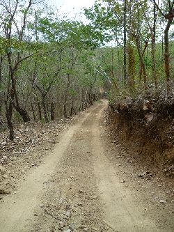 Vue de la finca de Hojancha, Costa Rica