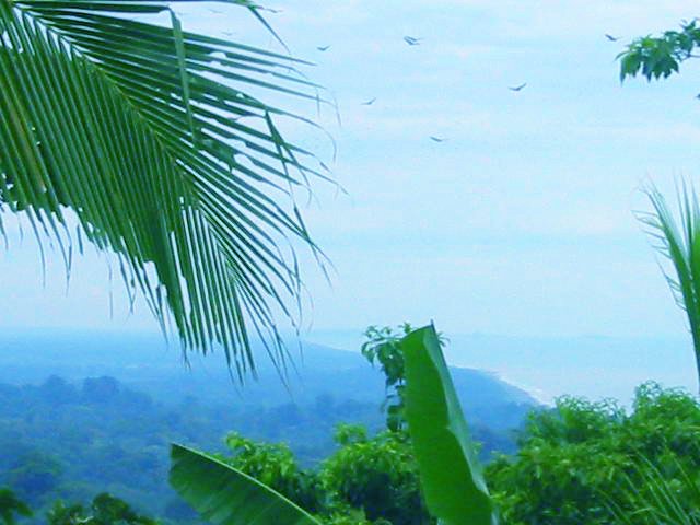 vue de Puerto Limon