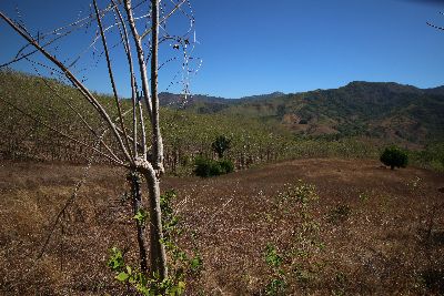 Vue de la finca de Playa Carrillo, Costa Rica