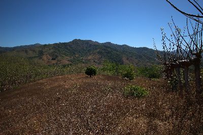 Vue de la finca de Playa Carrillo, Costa Rica