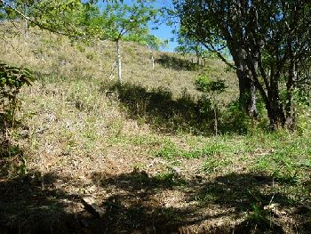 Vue de la finca de Hojancha, Costa Rica